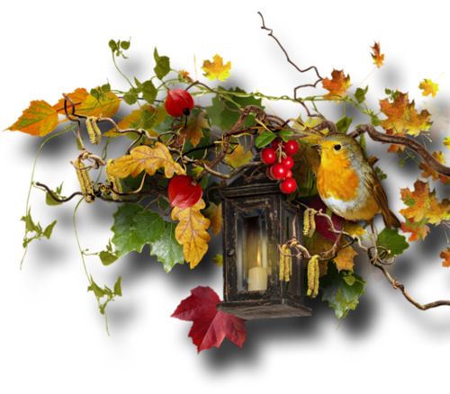 őszi állatok_16.png